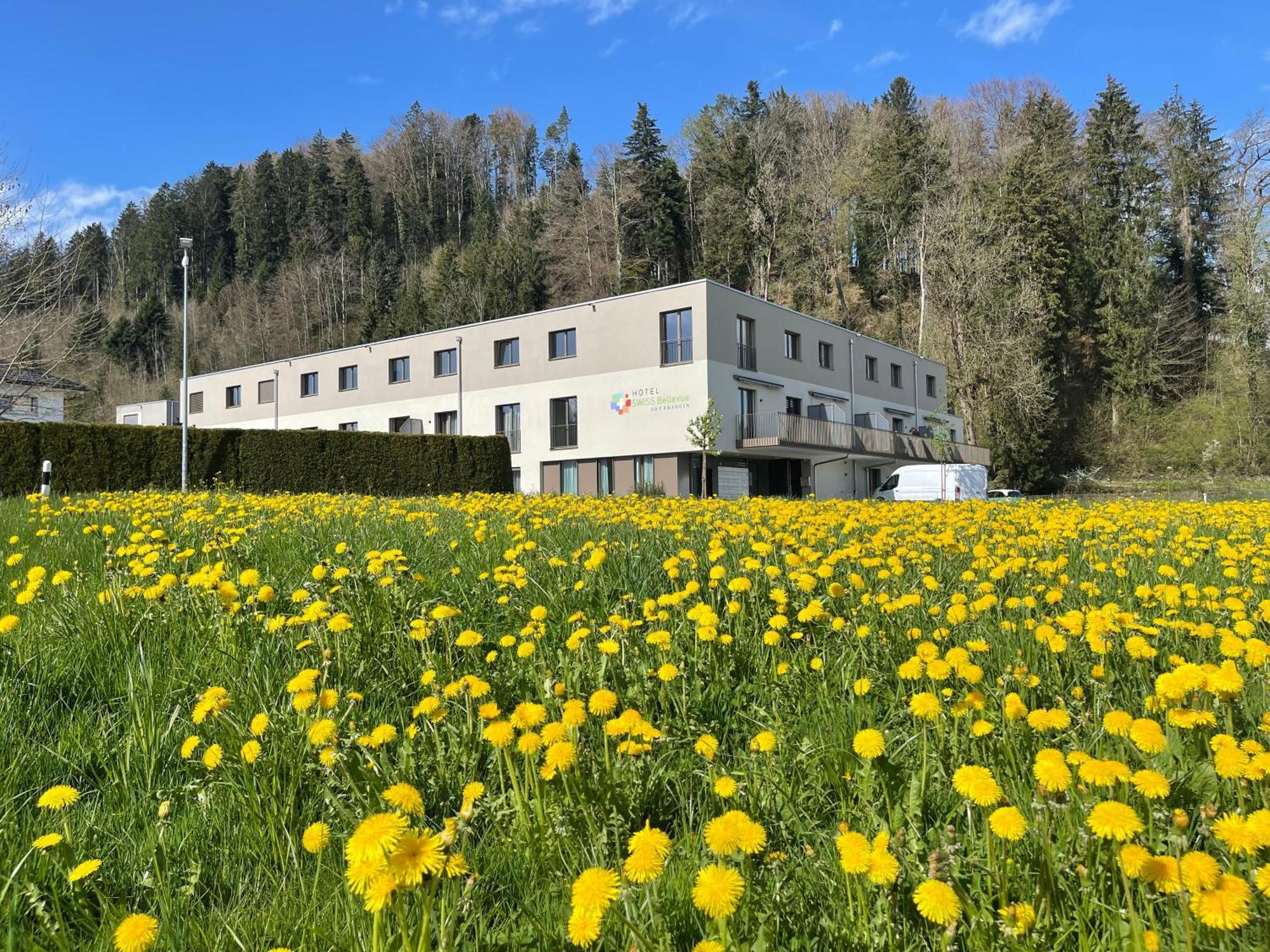 Hotel Swiss Bellevue Oberwangen Екстериор снимка